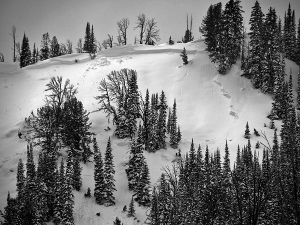 Pebble Creek Avalanche Pebble Creek Avalanche