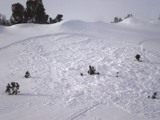 Wind Slab Avalanche 2nd Yellowmule 12 Feb 11